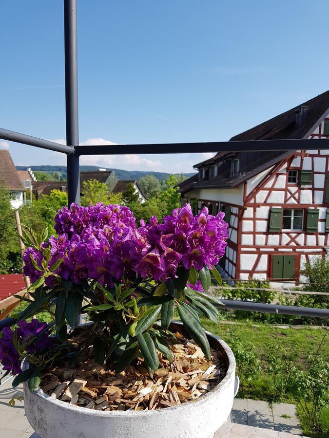Garni-Hotel Mühletal Stein Am Rhein Exterior foto